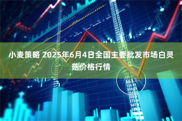 小麦策略 2025年6月4日全国主要批发市场白灵菇价格行情