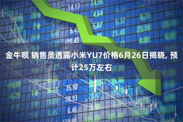 金牛呗 销售员透露小米YU7价格6月26日揭晓, 预计25万左右