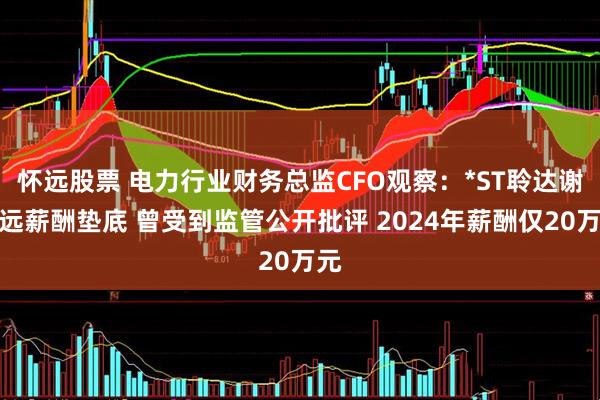 怀远股票 电力行业财务总监CFO观察：*ST聆达谢景远薪酬垫底 曾受到监管公开批评 2024年薪酬仅20万元