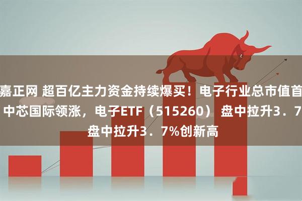 嘉正网 超百亿主力资金持续爆买！电子行业总市值首超银行，中芯国际领涨，电子ETF（515260） 盘中拉升3．7%创新高