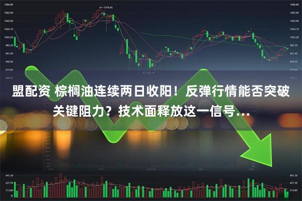 盟配资 棕榈油连续两日收阳!反弹行情能否突破关键阻力?技术面释放这一信号…