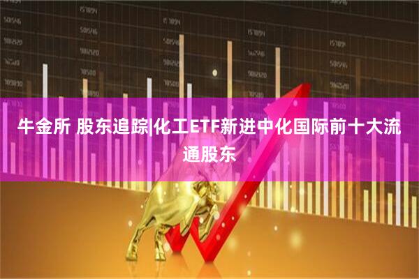 牛金所 股东追踪|化工ETF新进中化国际前十大流通股东